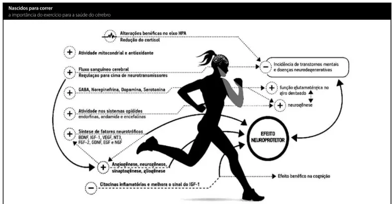 Figura 2. Efeitos do exercício no cérebro.