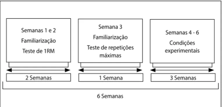 Figura 1. Distribuição temporal dos procedimentos experimentais do estudo.