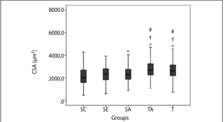 Figure 3. Cross-sectional area of Extensor digitorum longus between groups: Control (SC),  Sedentary aged (SE), Aged with Anabolic (SA), Trained (T) and trained with Anabolic (TA)