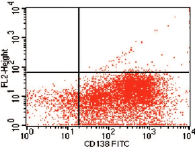 Fig. 2 – Plasma cells were selected from the bone marrow sample of the myeloma multiple patient using the CD138-specific antibody (Miltenyi Biotec, Germany) conjugated with isothiocynate fluorescein (FITC) and flow cytometry analysed (90.2% of purity)
