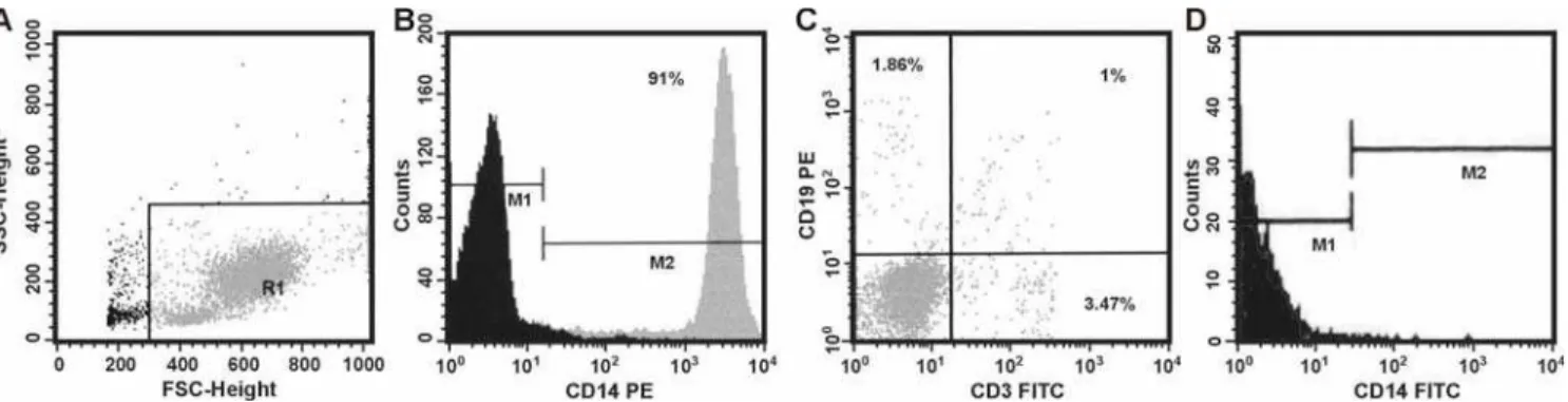 Figure 1. Enrichment of monocyte cells after Percoll gradient and downregulation of CD14 expression on immature DCs