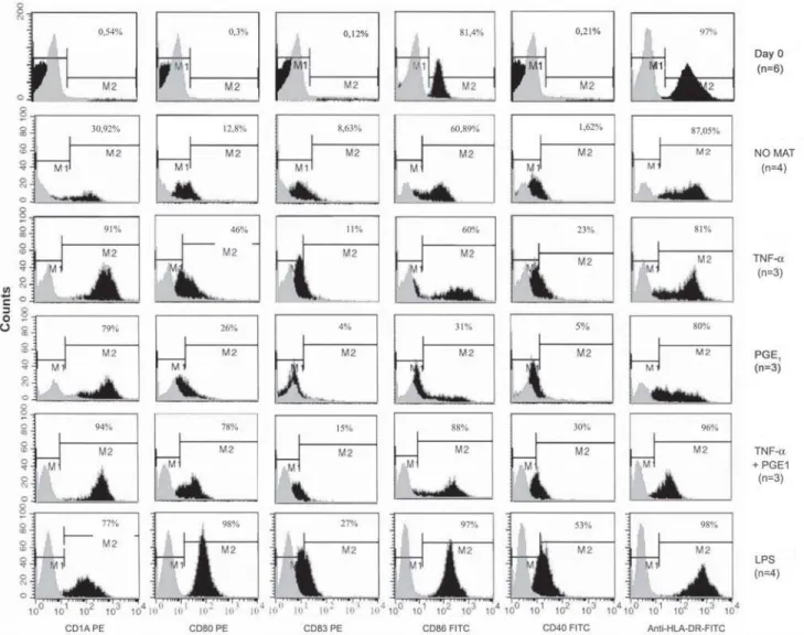 Figure 3. Greater expression of CD1a and CD80 costimulatory molecule in TNF-α +PGE 1 -DC and LPS-DC than in TNF-α -DC and PGE 1 -DC cultures