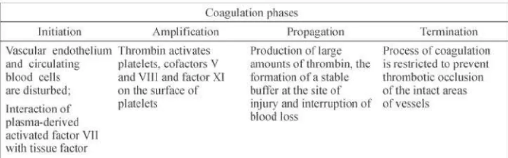Figure 1. Illustration of the coagulation model based on cell surfaces comprising the phases of initiation, amplification and propagation