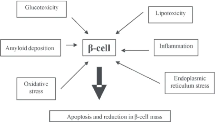 Figure 1 – Mechanisms of β-cell failure in DM2