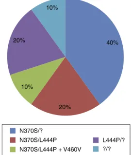 Figure 1 – Frequency of mutations in patients with GD submitted to GBA1 analysis at HEMOPA.