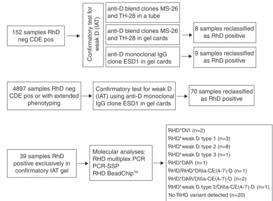 Figure 1 – Flowchart for the serological and molecular confirmatory RhD tests performed for blood donors.