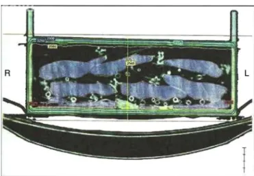 Figure 2 – Tomographic image of the container after the irradiation process. Dose distribution was homogenous in the central section of the tomography (yellow line).
