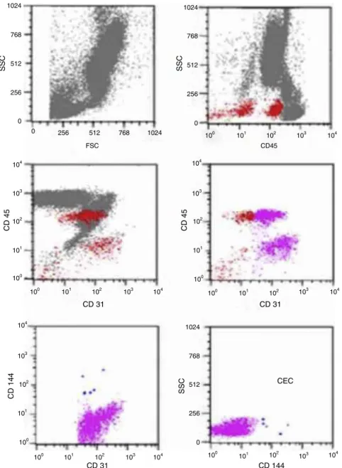 Figure 1 – Analysis strategy for the identification of mature circulating endothelial cells (CEC) by flow cytometry