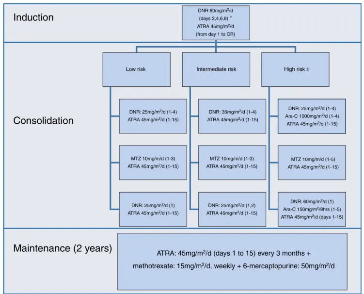 Figure 1 – Induction, consolidation and maintenance regimens.