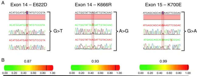 Figure 1 – Heterozygous mutations in SF3B1 found in six MDS patients. (A) Chromatograms of regions of exons 14 and 15 presenting nucleotide substitutions that lead to amino acid changes in the SF3B1 protein; one patient exhibited an E622D substitution, ano