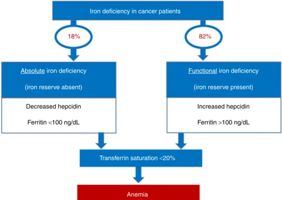 Figure 3 – Laboratory characteristics that differentiate absolute and functional iron deficiency in cancer patients; the latter has clear predominance in this population.
