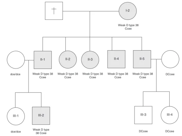 Figure 1 – Pedigree of family with RHD*weak D type 38.