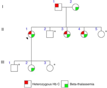 Figure 2 – Pedigree of the family. Molecular genetic analyses were performed for six family members