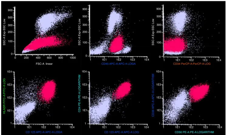 Figure 2 – Immunophenotyping by flow cytometry of a bone-marrow aspirate sample, showing the main markers that identify and characterize plasmacytoid dendritic blast cells.