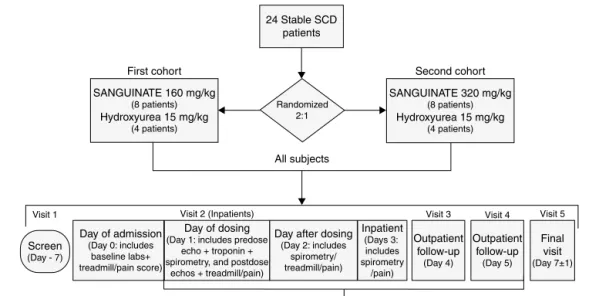 Figure 1 – Overall study design.