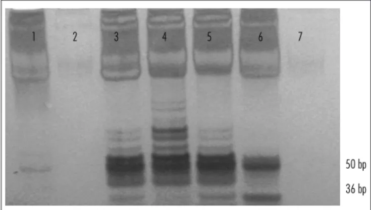 Table 1 shows the cytological results, inal histological  diagnosis for the cervical scraping and telomerase activity
