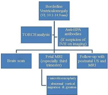 Fig. 4 T2-weighted MRI performed in a fetus at 29.3 weeks of gestation: microcephaly with microlissencephaly was prompted (A).