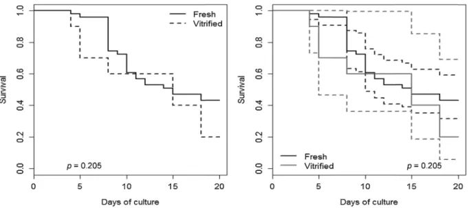 Table 3 Mean variation (in %) of the fresh and vitriﬁed follicle diameters