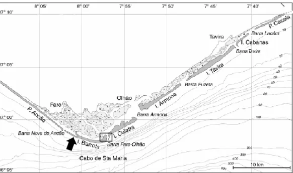 Figure 2.1 – Location of the two sampling stations in  the  Ria Formosa  coastal lagoon  (image 