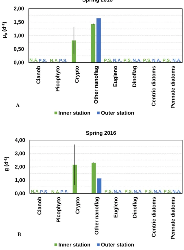 Figure 3.9 – (A) Potential instantaneous growth rate of phytoplankton group-specific in  the Ria Formosa in spring 2016