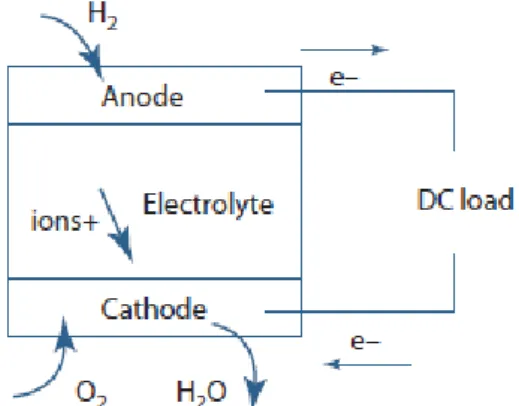 Figure 2.6: Fuel cell process of operation [28]. 
