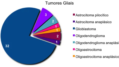 Figura 6 – Percentagem de cada tipo de tumor proveniente das células da glia. 