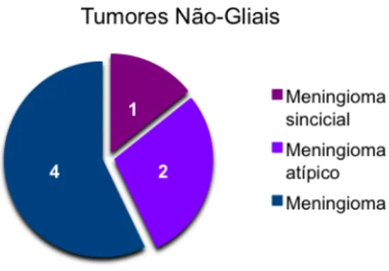 Figura 7 – Percentagem de cada tipo de tumor proveniente de células não gliais. 