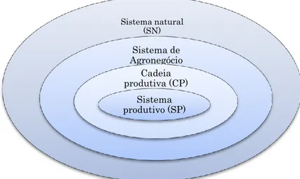 Figura 2 - Modelo de hierarquia de sistemas no ambiente do agronegócio e seus  subsistemas 