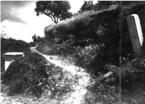 Fig.  12 - Exemplo de acessos às vinhas no vale do Corgo. 