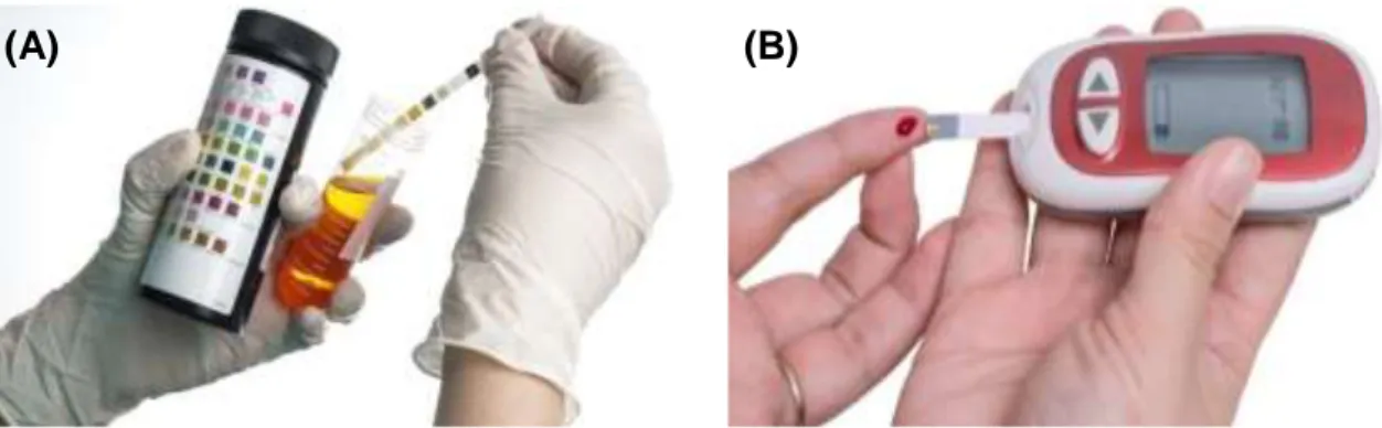 Figura 2.11: Testes de monitorização não contínua dos níveis de glucose: (A) colorimétricos (urine  dipstick); (B) eletroquímicos (medidor de glucose no sangue através de picada no dedo)