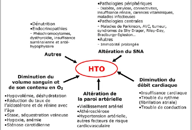 Figura 7 - Causas de Hipotensão Ortostática. (42)