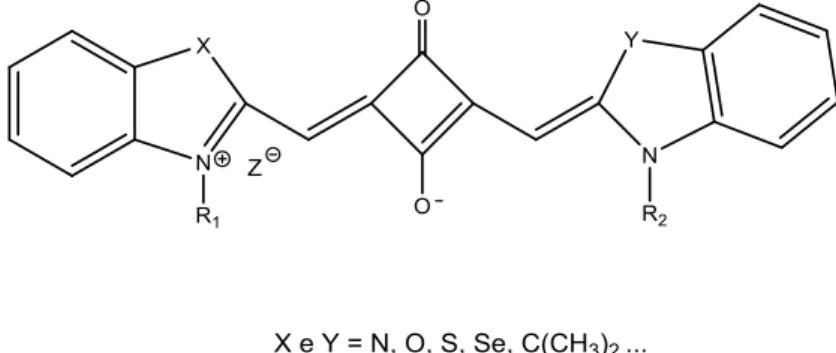 Figura 3 Estrutura química dos corantes cianínicos esquarílicos. 