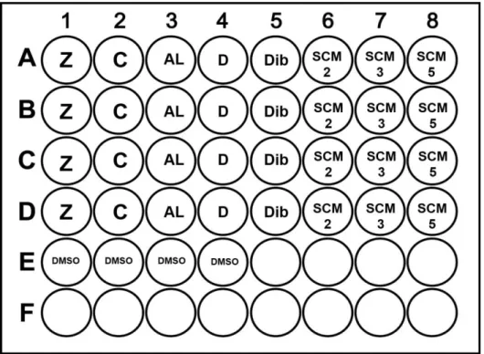 Figura  14  -  Esquema  representativo  da  microplaca  para  o  ensaio  de  screening  dos  compostos  numa  concentração  de  30μM