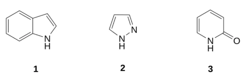 Figura 1.1 – Componentes de acoplamento heterocíclicos importantes contendo azoto como heteroátomo