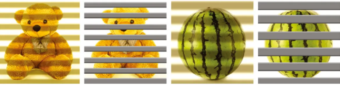 Fig. 5. Samples of pictures when cast shadows from blinds (left) and blinds themselves (right) are superim- superim-posed on the pictures of the objects.