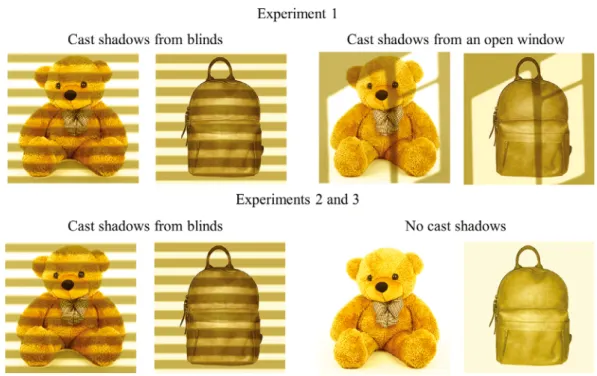 Fig. 1. Samples of pictures depicting objects with cast shadows from blinds (“blinds shadow” condition in Experiments 1–3), cast shadows from an open window (“open window” condition in Experiment 1), and no cast shadows (“open window” condition in Experime