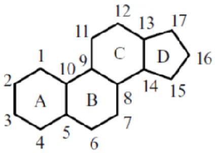 Fig.  3 -  Estrutura  base  dos  esteroides,  representação dos 4 anéis e carbonos  