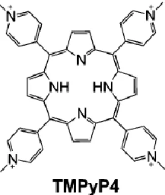 Figura  8: Estrutura  química  do  ligando  TMPyP4,  que  possui  a  capacidade  de  estabilizar  a  topologia  paralela do G-quadruplex