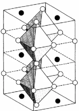 Fig. 2.2 – Estrutura cristalina do BaPbO 3  (Ritter, et al., 1989)