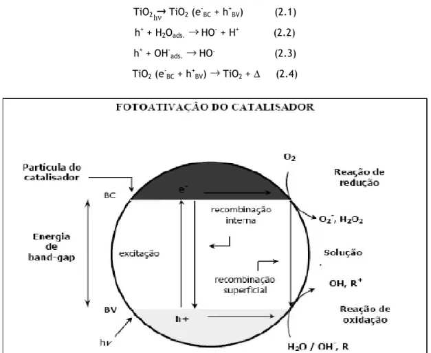 Figura 2.4 – Esquema do mecanismo de fotoactivação 