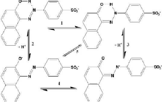 Figura 2.7 – Espécies do corante AO7 presentes em solução aquosa (Pires, 2013) 