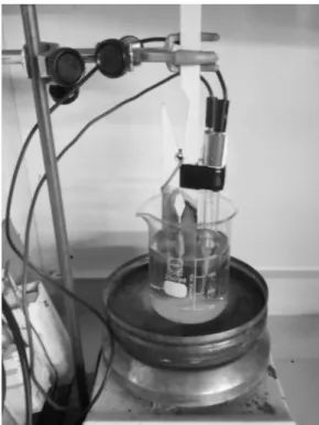 Figura 3.4 – Montagem experimental para a oxidação fotocatalítica 