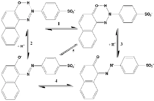 Figura 2.6 - Espécies do corante AO7 presentes em solução aquosa (Oakes e Gratton, 1998; Hihara et al.,  2003) 