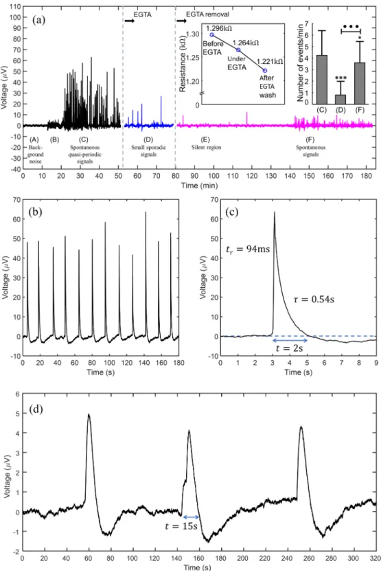 Figure 3.  Electrical signals recorded in astrocytes populations. (a) An overview of a long-term recording  of astrocyte population activity, with different experimental stages identified A-F