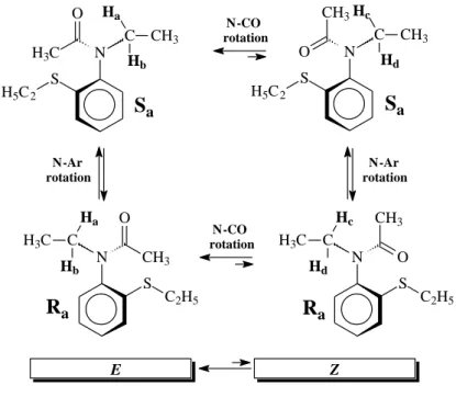 Figura 5 - Formas enantioméricas axiais Sa-endo e Sa-exo das acetanilidas. [5]