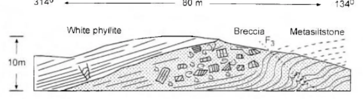 Fig. 8. Sketch displaying information collected during a detailed observation along a nearly 80 m-long, 10 m-high, man- man-made wall situated behind the tennis courts in Pousada park (outcrop 15)