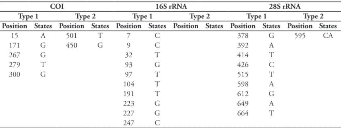 Table 4. Type 1 characters and type 2 characters (Kühn and Haase 2019) for COI, 16S rRNA and 28S  rRNA sequence data (no type 2 characters for 16S rRNA and 28S rRNA present) of C