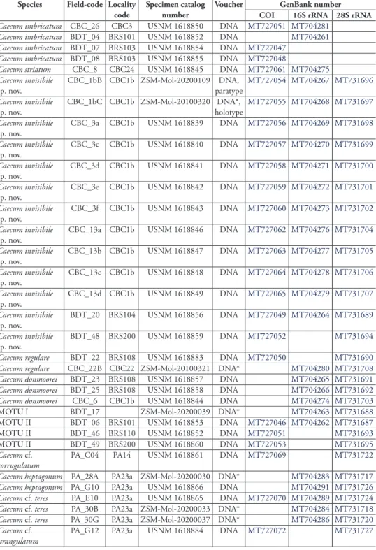 Table 1. List of investigated Caecidae specimens, museums numbers (ZSM: SNSB-Bavarian State Col- Col-lection, MNHN: Muséum National d’Histoire Naturelle, USMN: Smithsonian Institution), and NCBI  GenBank accession numbers of sequenced genes and the type of
