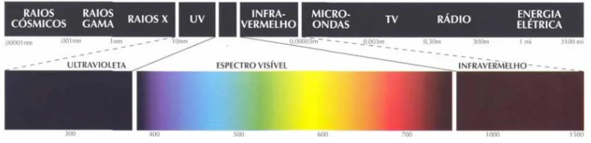 Figura  2  -  Uma  seção  do  espectro  de  energia  eletromagnética  mostrando  a  escala  de  comprimento de onda correspondendo ao espectro visível [11]