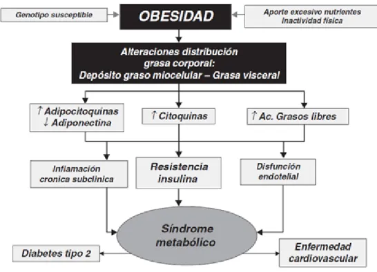 Figura 3- Mecanismos e fatores determinantes das complicações metabólicas associadas à obesidade (66)